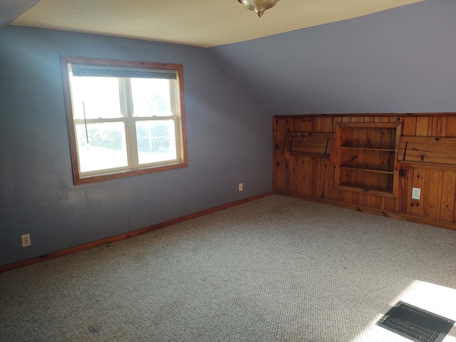 36998 Quest Rd, Hillman, MN 56338 - bonus room with lofted ceiling, baseboards, and carpet flooring