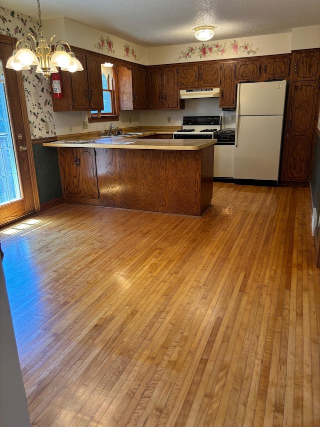 409 4th St NE, Hayfield, MN 55940 - kitchen with freestanding refrigerator, under cabinet range hood, range with gas cooktop, light wood-type flooring, and a peninsula