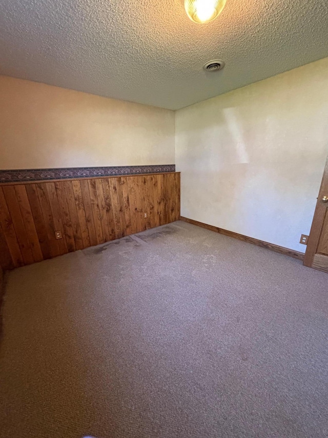 409 4th St NE, Hayfield, MN 55940 - carpeted spare room featuring a textured ceiling and wooden walls