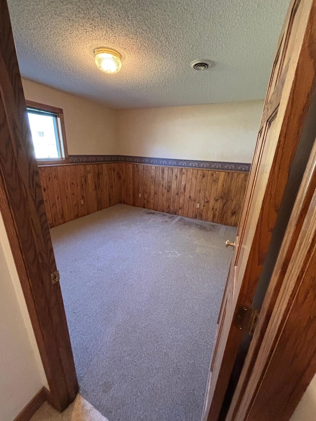 409 4th St NE, Hayfield, MN 55940 - carpeted spare room with a wainscoted wall, wood walls, and a textured ceiling