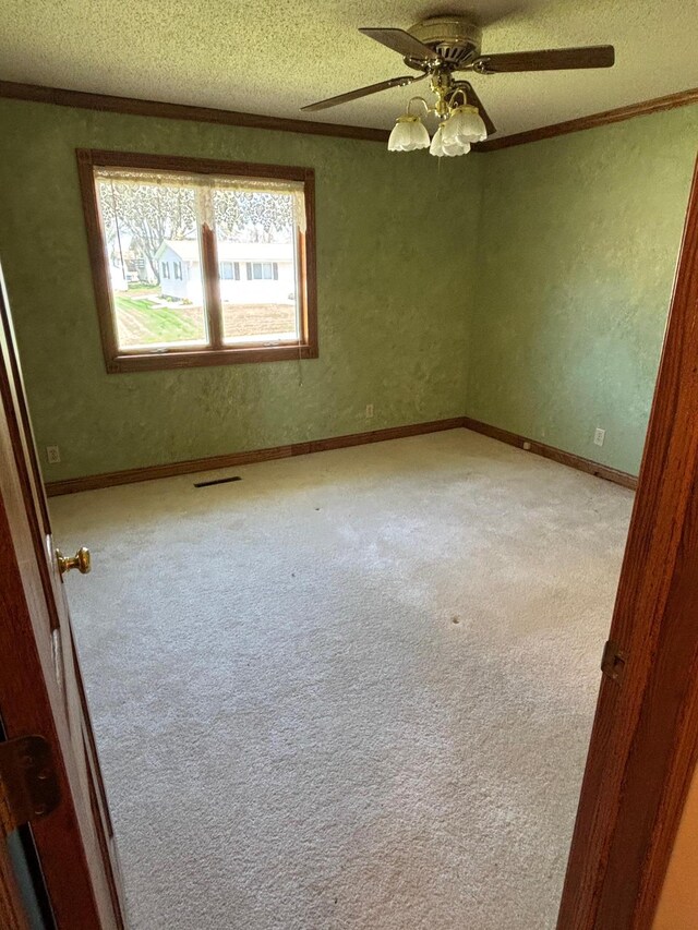 409 4th St NE, Hayfield, MN 55940 - unfurnished room with ornamental molding, a textured ceiling, carpet flooring, and a ceiling fan