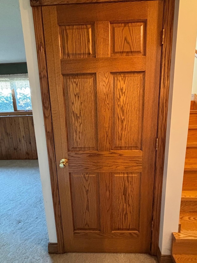 409 4th St NE, Hayfield, MN 55940 - detailed view of carpet flooring and wooden walls