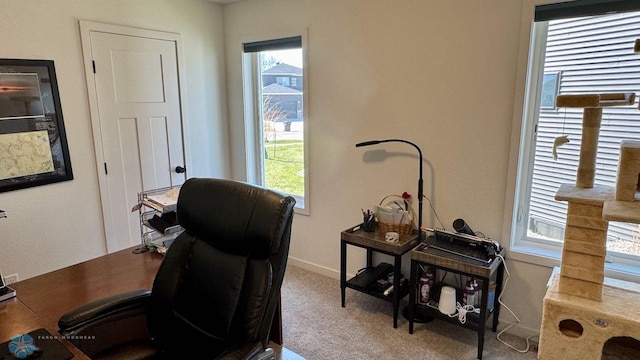 5477 11th St W, West Fargo, ND 58078 - carpeted office space featuring plenty of natural light and baseboards