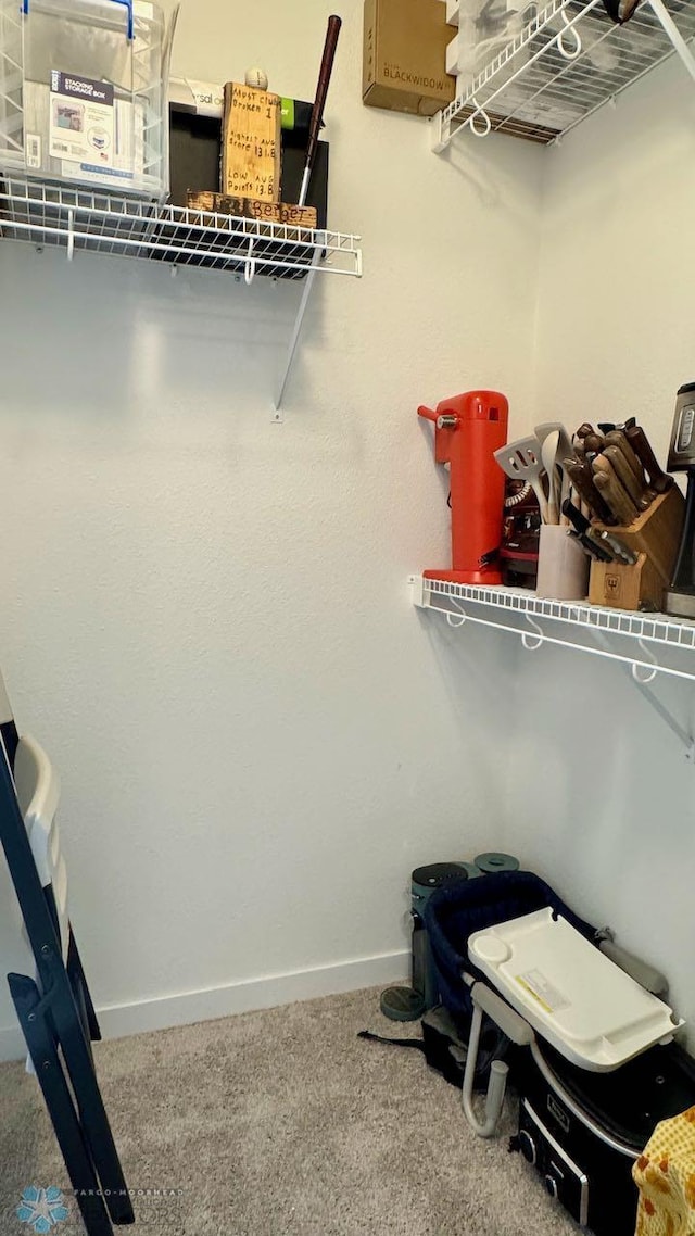 5477 11th St W, West Fargo, ND 58078 - walk in closet with carpet floors