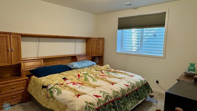 5477 11th St W, West Fargo, ND 58078 - view of carpeted bedroom