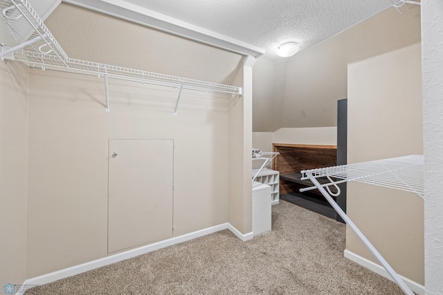 spacious closet featuring carpet floors