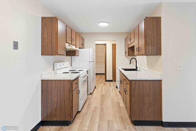 kitchen featuring electric range, a sink, under cabinet range hood, light countertops, and light wood-style flooring