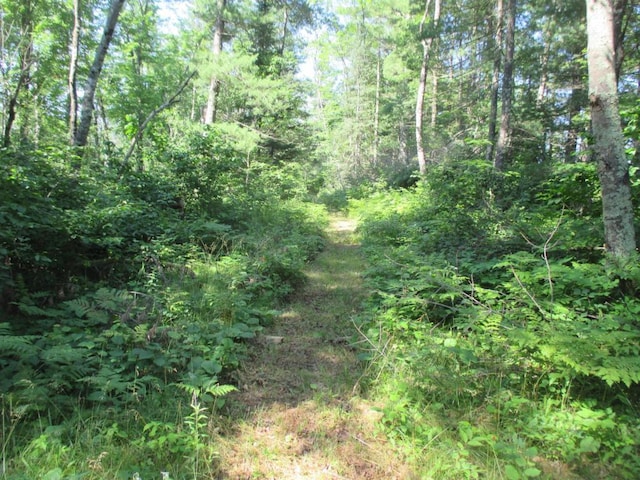 LOT1 State Road 27/70, Couderay, WI 54828