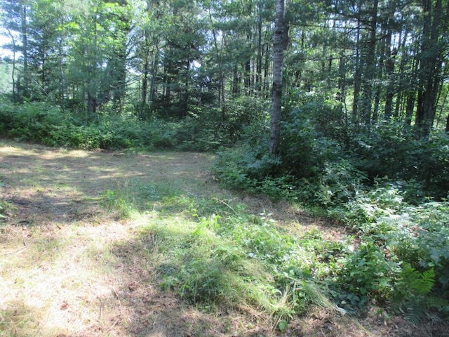 LOT1 State Road 27/70, Couderay, WI 54828