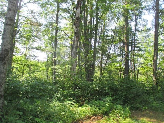 LOT1 State Road 27/70, Couderay, WI 54828