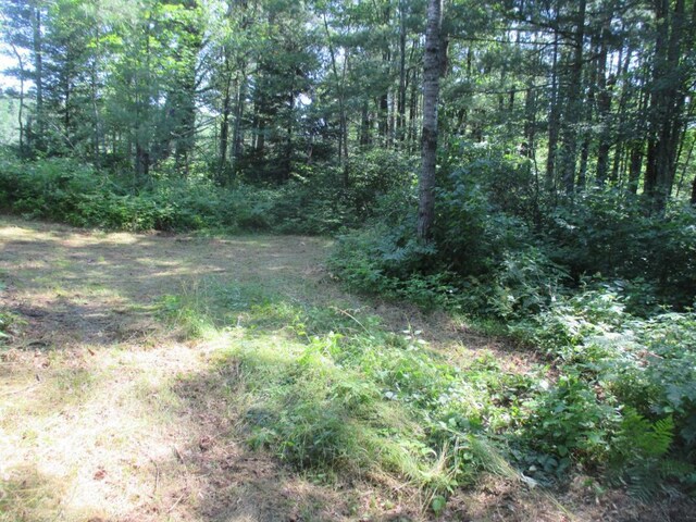 LOT1 State Road 27/70, Couderay, WI 54828