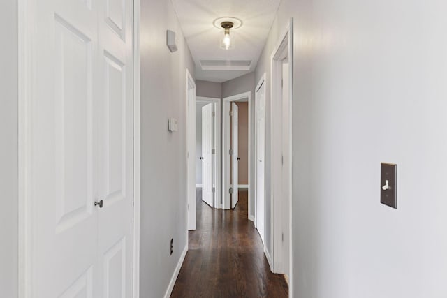 1604 Viking Dr, Buffalo, MN 55313 - hallway with baseboards and dark wood-type flooring