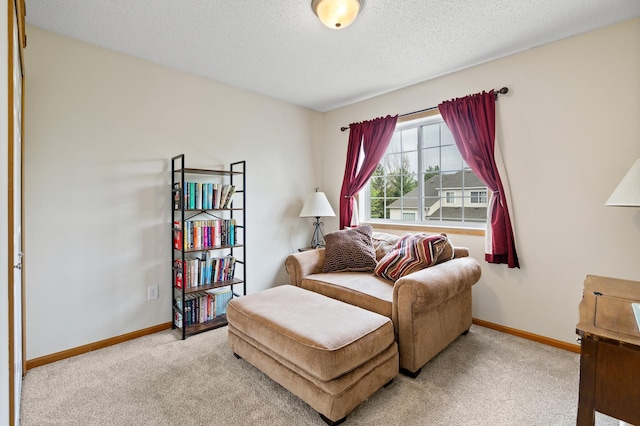 7625 Lachman Ave NE, Otsego, MN 55301 - sitting room with light carpet and a textured ceiling