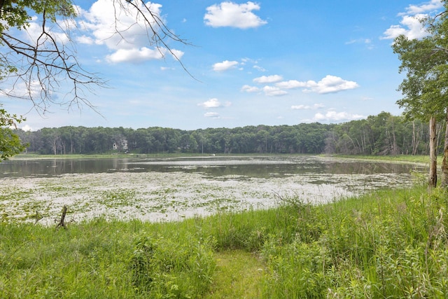 4575 Mcdonald Drive Overlook, Baytown Twp, MN 55082 - photo 72