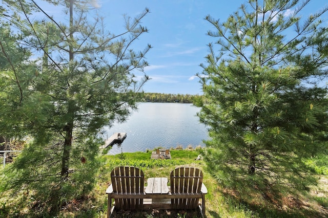 1949 Little Blake Lake Ln, Georgetown Twp, WI 54853 - water view