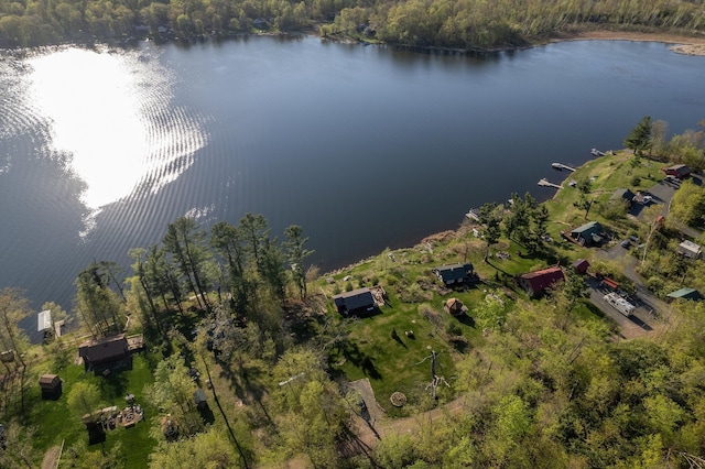 1949 Little Blake Lake Ln, Georgetown Twp, WI 54853 - drone / aerial view of a nearby body of water and a forest