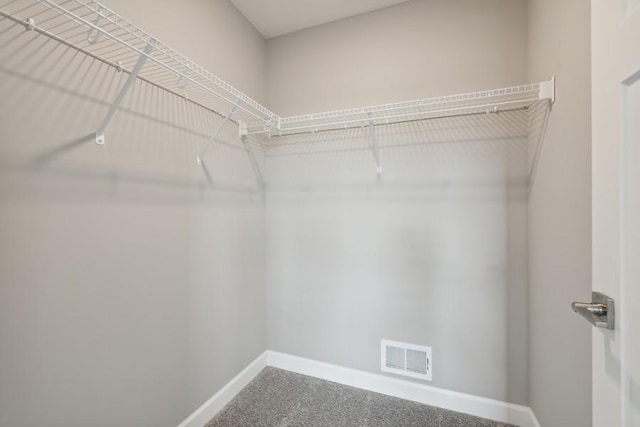 3112 Sugar Maple Dr, Chaska, MN 55318 - view of walk in closet