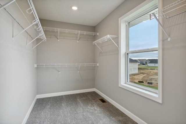 3112 Sugar Maple Dr, Chaska, MN 55318 - walk in closet with carpet floors