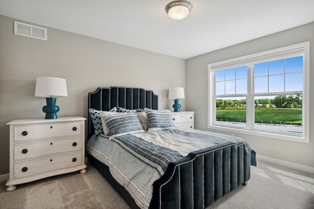 3112 Sugar Maple Dr, Chaska, MN 55318 - bedroom featuring light colored carpet and baseboards