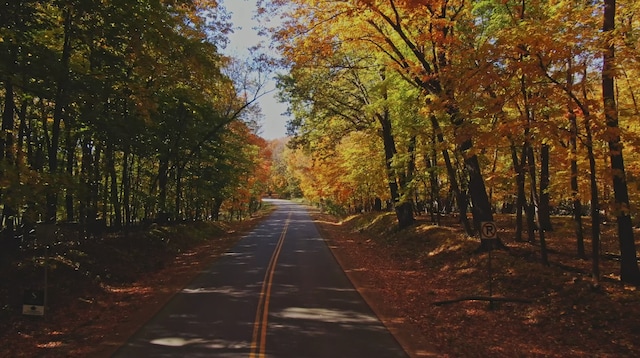 view of asphalt road