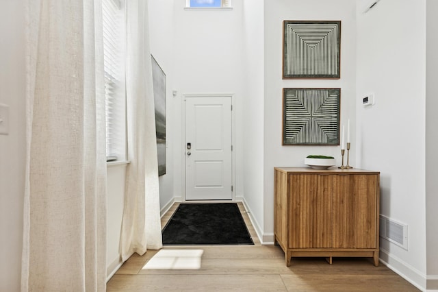 2146 Tyrone Dr, Shakopee, MN 55379 - doorway with wood finished floors, plenty of natural light, and baseboards