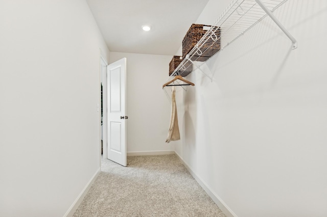 2146 Tyrone Dr, Shakopee, MN 55379 - walk in closet featuring carpet floors