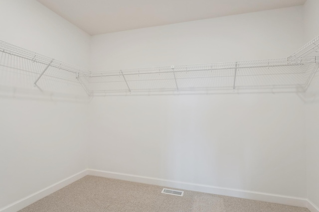 20092 67th Ave, Corcoran, MN 55340 - walk in closet with light carpet