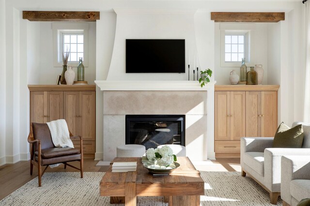 301 3rd St, Excelsior, MN 55331 - living room with light wood-style flooring, a fireplace with flush hearth, and healthy amount of natural light