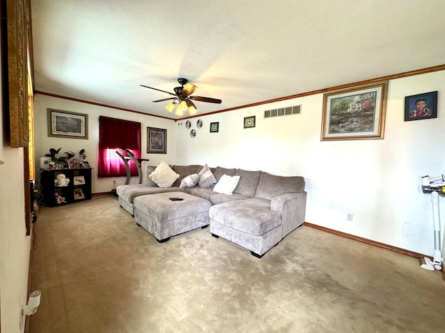 1112 10th St, Gaylord, MN 55334 - living area with a ceiling fan, ornamental molding, carpet flooring, baseboards, and a textured ceiling