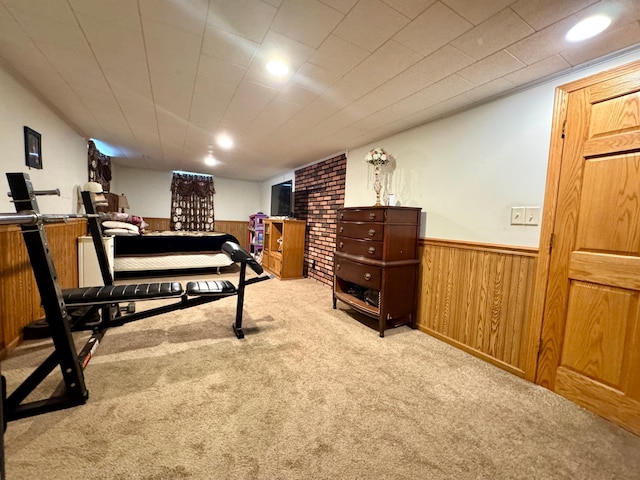 1112 10th St, Gaylord, MN 55334 - exercise room featuring carpet floors, a wainscoted wall, wooden walls, and recessed lighting