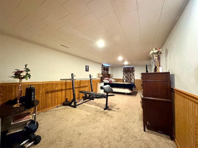 1112 10th St, Gaylord, MN 55334 - exercise area with a wainscoted wall, wooden walls, and carpet floors