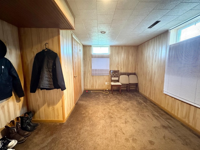 1112 10th St, Gaylord, MN 55334 - sitting room with carpet floors, wood walls, plenty of natural light, and baseboards