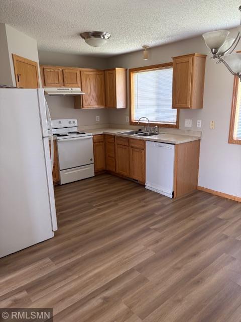 kitchen featuring white appliances, under cabinet range hood, light countertops, a sink, and a textured ceiling