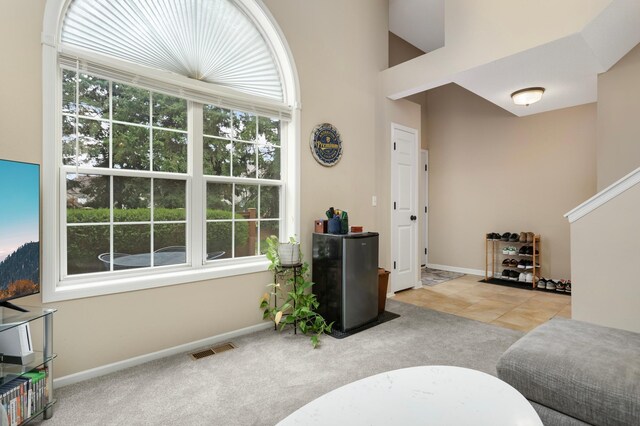 6477 Regency Ln, Eden Prairie, MN 55344 - carpeted living room with healthy amount of natural light and baseboards