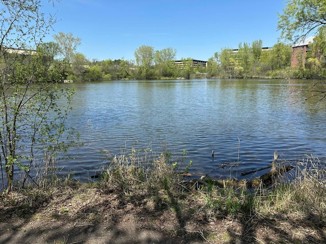 6477 Regency Ln, Eden Prairie, MN 55344 - water view