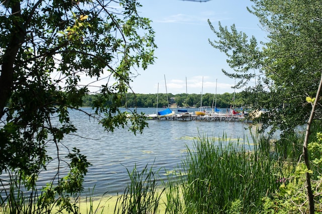 20027 62nd Pl, Corcoran, MN 55340 - water view with a boat dock