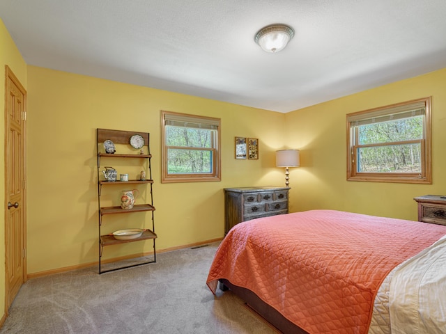 1351 Lone Pine Ln, Garfield Twp, WI 54001 - bedroom featuring multiple windows, carpet, and baseboards