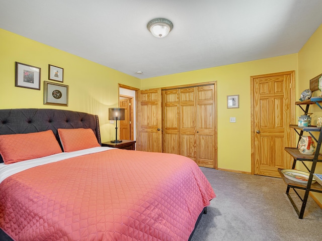 1351 Lone Pine Ln, Garfield Twp, WI 54001 - bedroom with carpet and a closet