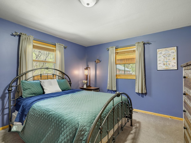 1351 Lone Pine Ln, Garfield Twp, WI 54001 - carpeted bedroom featuring baseboards