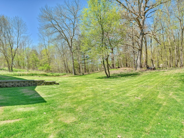 1351 Lone Pine Ln, Garfield Twp, WI 54001 - view of green lawn