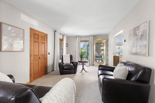 681 4th St NE, Little Falls, MN 56345 - carpeted living room with a textured ceiling