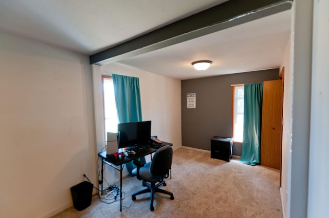 carpeted office with plenty of natural light