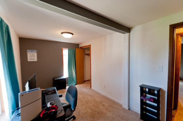 office area featuring light colored carpet