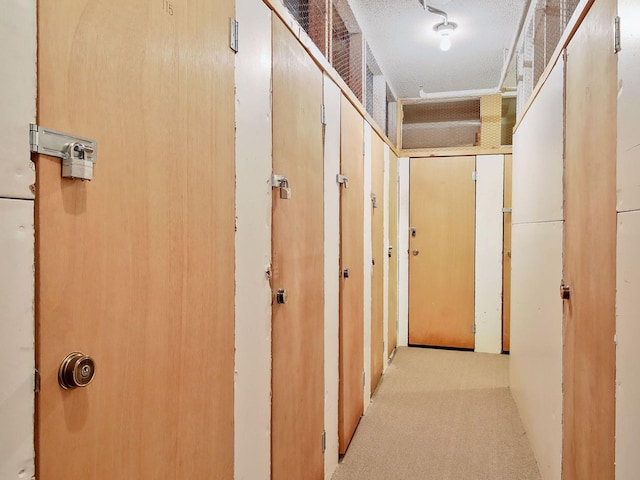 7520 Cahill Rd Unit 222A, Edina, MN 55439 - hallway featuring carpet floors