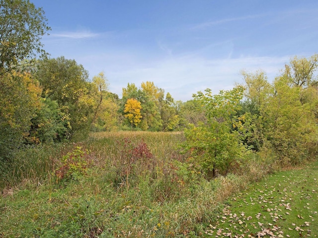 7520 Cahill Rd Unit 222A, Edina, MN 55439 - view of wooded area