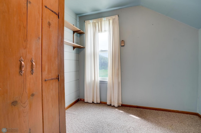 10544 40th St N, Kragnes Twp, MN 56560 - bonus room featuring light carpet, vaulted ceiling, and baseboards