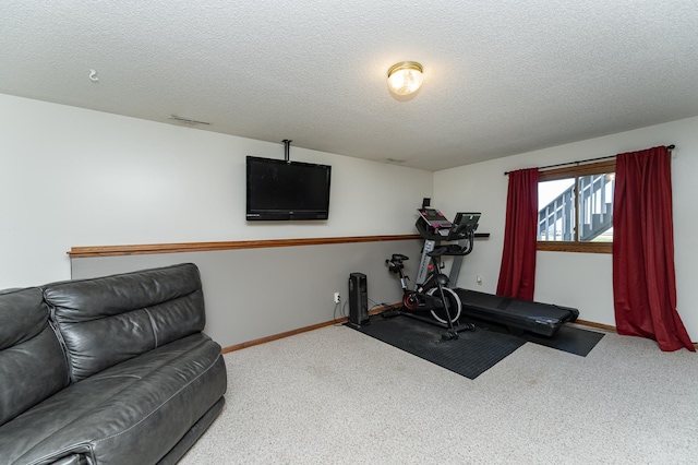 192 Harrison Ave SE, Racine, MN 55967 - exercise area featuring carpet, a textured ceiling, and baseboards