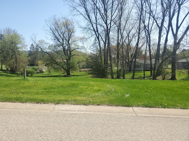 TBD Thomas Drive, Rollingstone, MN 55969