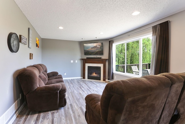 18071 Lincoln Cir NW, Elk River, MN 55330 - living room with a textured ceiling, wood finished floors, a glass covered fireplace, recessed lighting, and baseboards