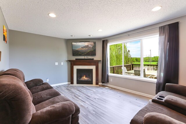 18071 Lincoln Cir NW, Elk River, MN 55330 - living area with wood finished floors, a fireplace with flush hearth, a textured ceiling, recessed lighting, and baseboards